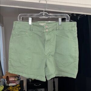 Pilcro Light Green Flat Front Men's Shorts